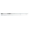 Savage Gear SGS2 Long Casting 2.90m F 30-70g H